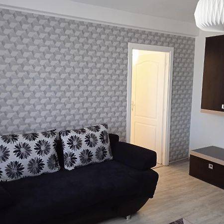 Ana Apartament Râmnicu Vâlcea Dış mekan fotoğraf