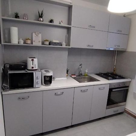 Ana Apartament Râmnicu Vâlcea Dış mekan fotoğraf