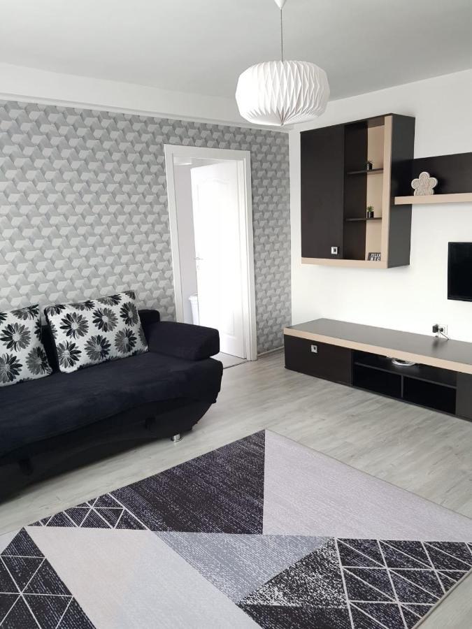 Ana Apartament Râmnicu Vâlcea Dış mekan fotoğraf