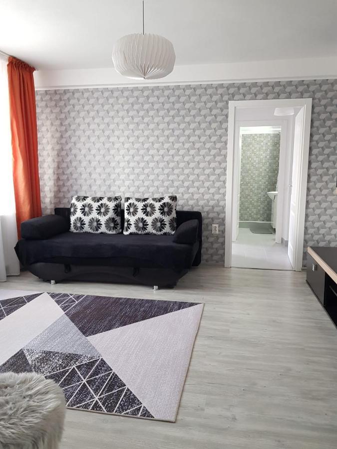 Ana Apartament Râmnicu Vâlcea Dış mekan fotoğraf