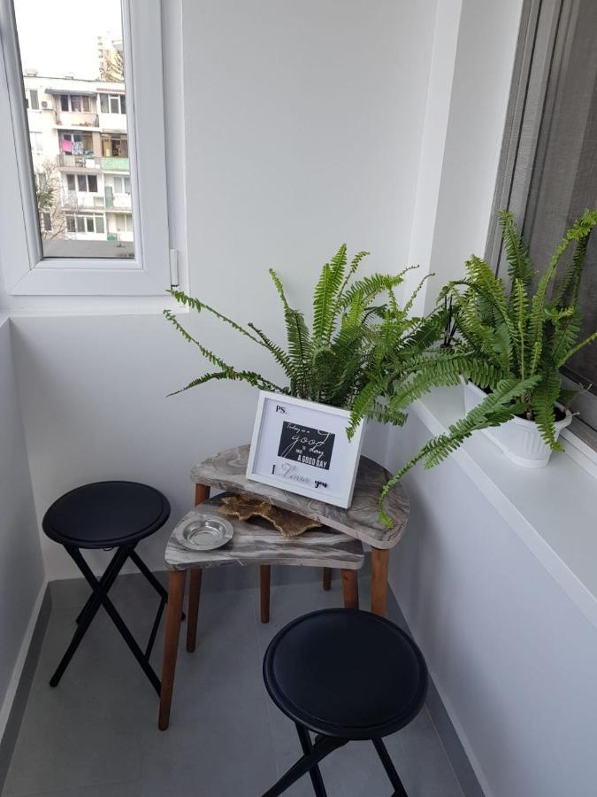 Ana Apartament Râmnicu Vâlcea Dış mekan fotoğraf