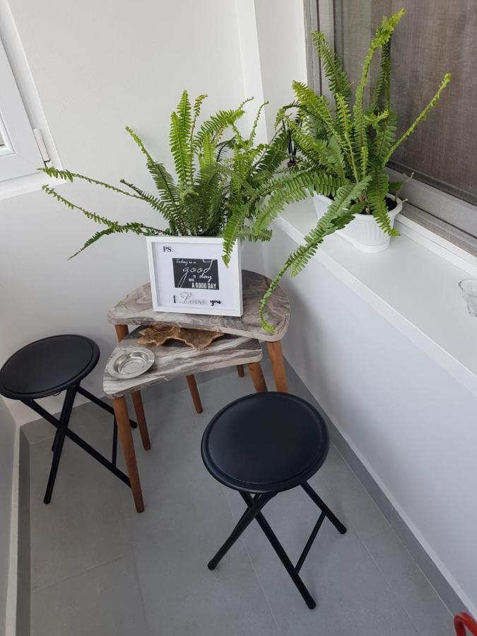 Ana Apartament Râmnicu Vâlcea Dış mekan fotoğraf