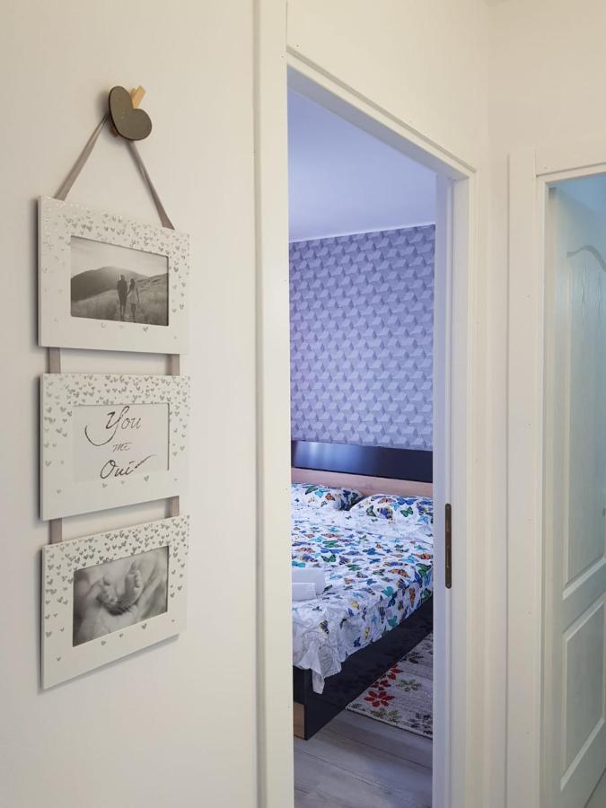 Ana Apartament Râmnicu Vâlcea Dış mekan fotoğraf