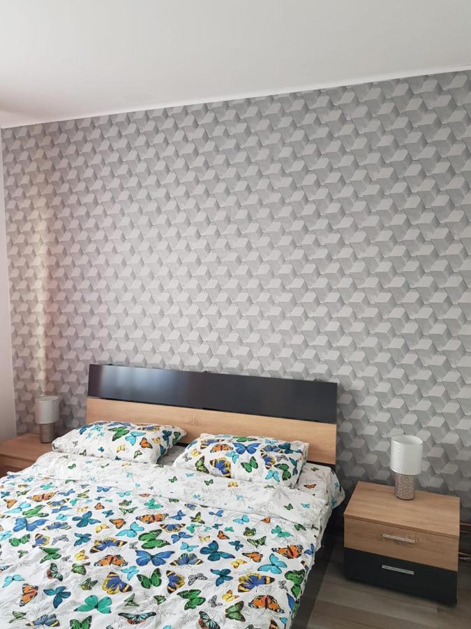 Ana Apartament Râmnicu Vâlcea Dış mekan fotoğraf