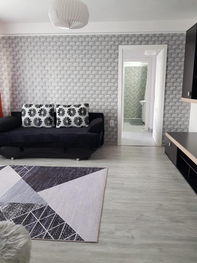 Ana Apartament Râmnicu Vâlcea Dış mekan fotoğraf