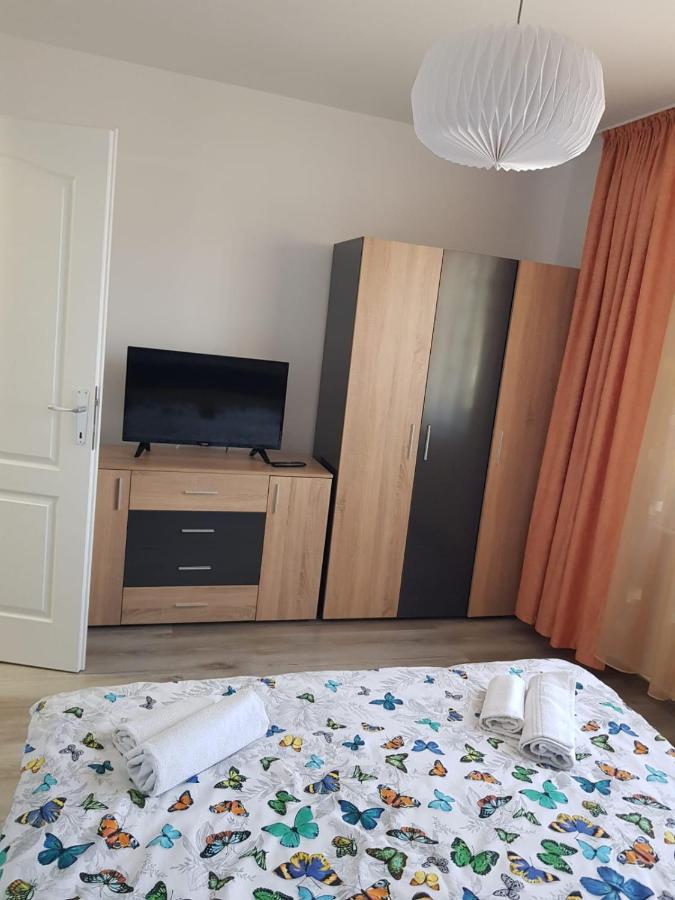 Ana Apartament Râmnicu Vâlcea Dış mekan fotoğraf