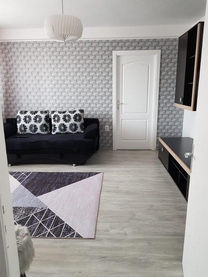 Ana Apartament Râmnicu Vâlcea Dış mekan fotoğraf