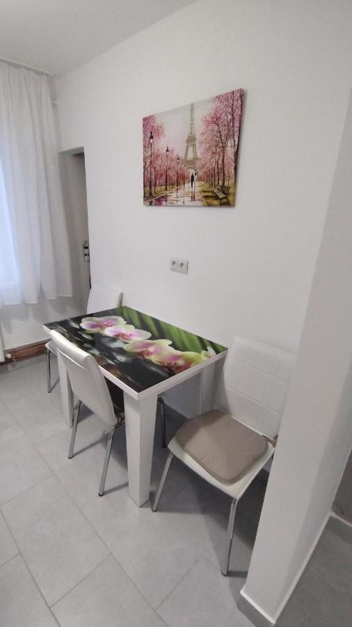 Ana Apartament Râmnicu Vâlcea Dış mekan fotoğraf