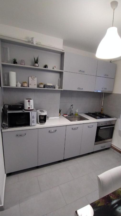 Ana Apartament Râmnicu Vâlcea Dış mekan fotoğraf