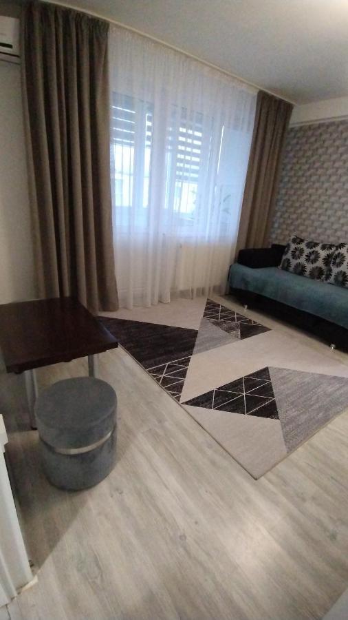 Ana Apartament Râmnicu Vâlcea Dış mekan fotoğraf